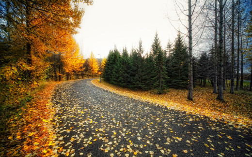 693953 (a): :2560x1600